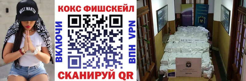 Кокаин Fish Scale  закладка  Бахчисарай 