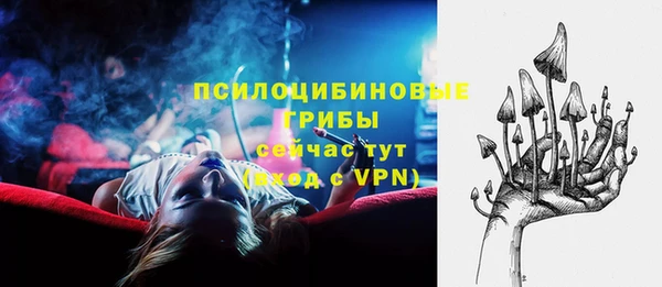 МДМА Белокуриха