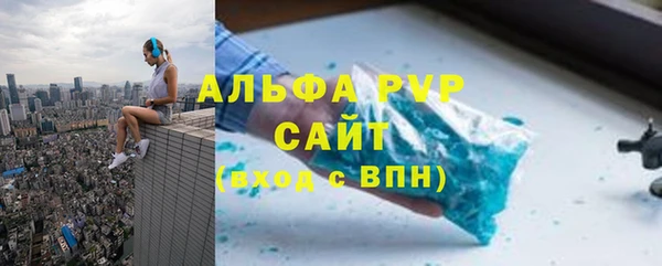 spice Богородицк