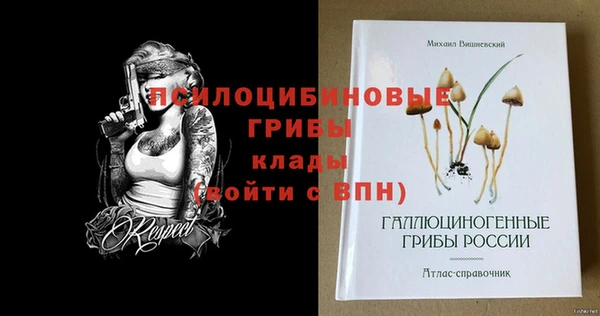 spice Богородицк