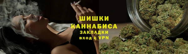прущие грибы Белоозёрский