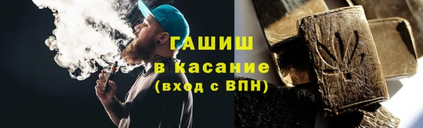 spice Богородицк