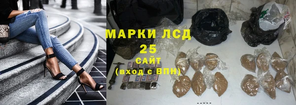прущие грибы Белоозёрский