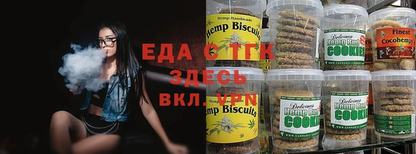 spice Богородицк