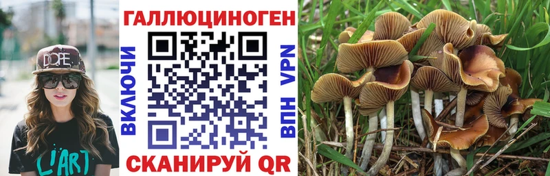 купить наркоту  darknet состав  Псилоцибиновые грибы Psilocybine cubensis  Бахчисарай 